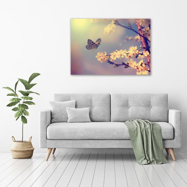 Moderní obraz canvas na rámu Květ viště a motýl oc-72331211