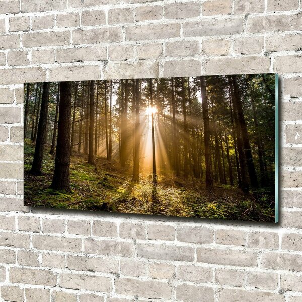 Foto obraz fotografie na skle Sluneční světlo osh-72706491
