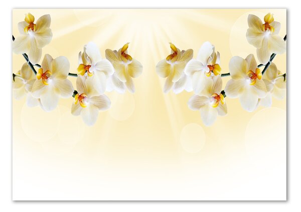 Foto obraz sklo tvrzené Orchidej osh-72852358