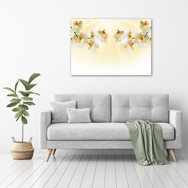 Foto obraz canvas Orchidej oc-72852358