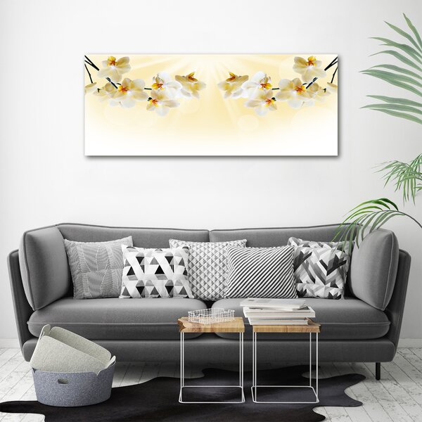 Foto obraz canvas Orchidej oc-72852358