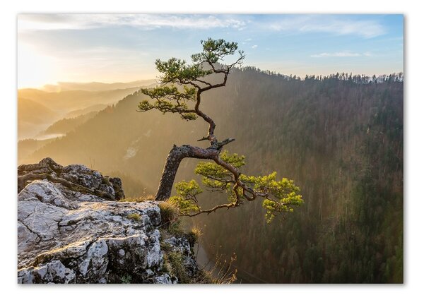 Foto obraz skleněný horizontální Sokolice Pieniny osh-73236563