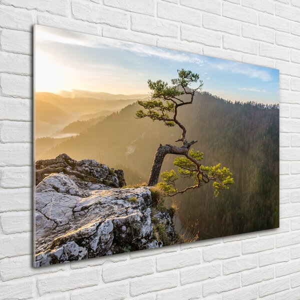 Foto obraz skleněný horizontální Sokolice Pieniny osh-73236563