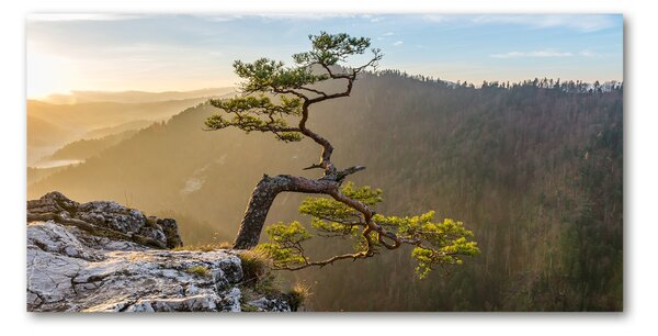 Foto obraz skleněný horizontální Sokolice Pieniny osh-73236563