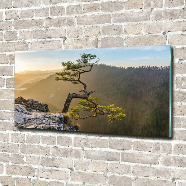 Foto obraz skleněný horizontální Sokolice Pieniny osh-73236563