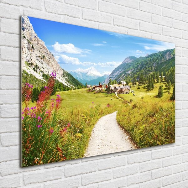 Foto obraz skleněný horizontální Pastvina v Alpách osh-73408586
