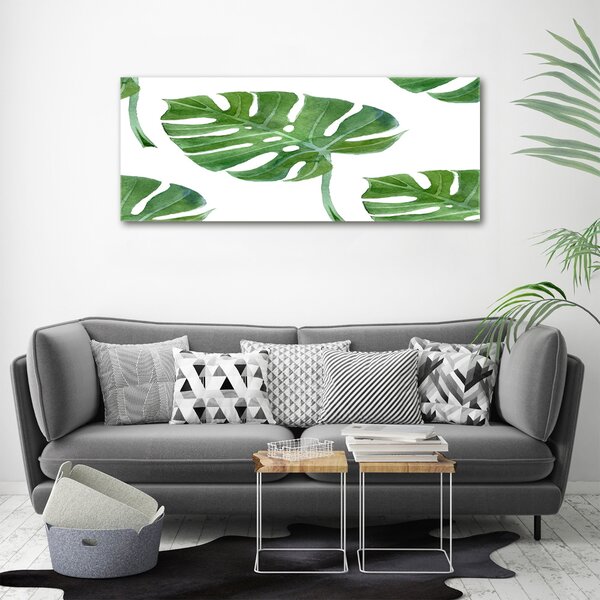 Foto obraz na plátně Monstera oc-73453998