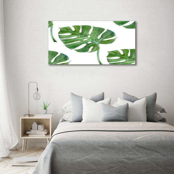 Foto obraz na plátně Monstera oc-73453998