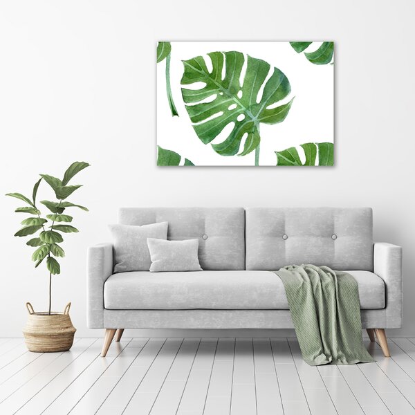 Foto obraz na plátně Monstera oc-73453998