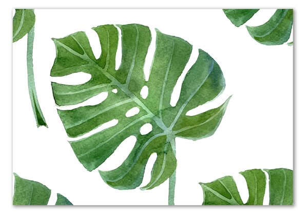 Fotoobraz na skle Monstera osh-73453998