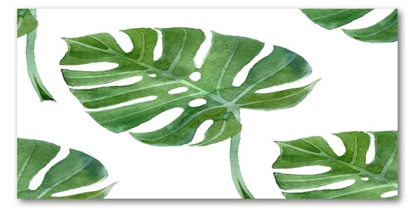 Fotoobraz na skle Monstera osh-73453998