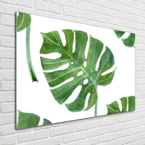 Fotoobraz na skle Monstera osh-73453998