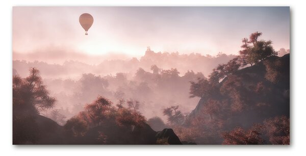 Foto obraz skleněný horizontální Balon nad lesem osh-73608942