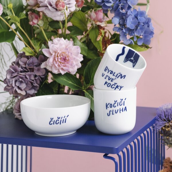 Porcelánový hrnek Bydlím u své kočky 270 ml