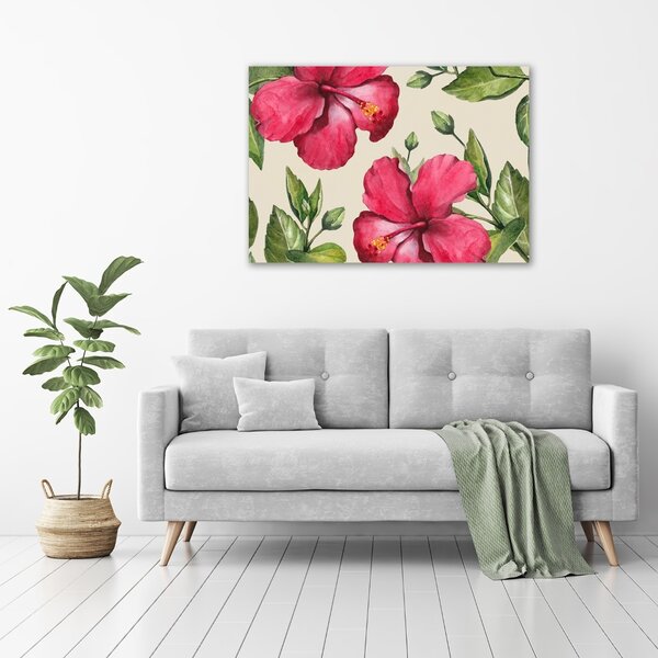 Foto obraz na plátně Růžový hibiskus oc-74431005