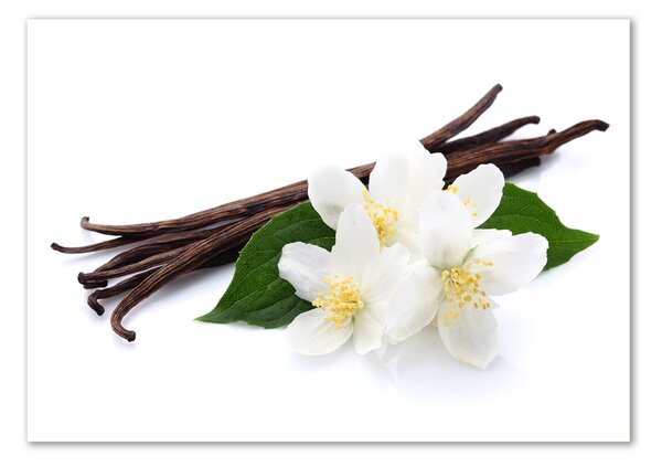 Moderní skleněný obraz z fotografie Jasmín a vanilka osh-75941522
