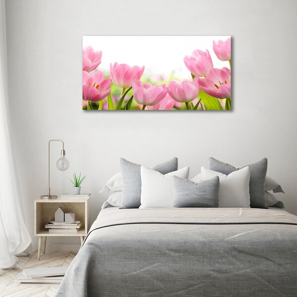 Foto obraz skleněný horizontální Růžové tulipány osh-76412458
