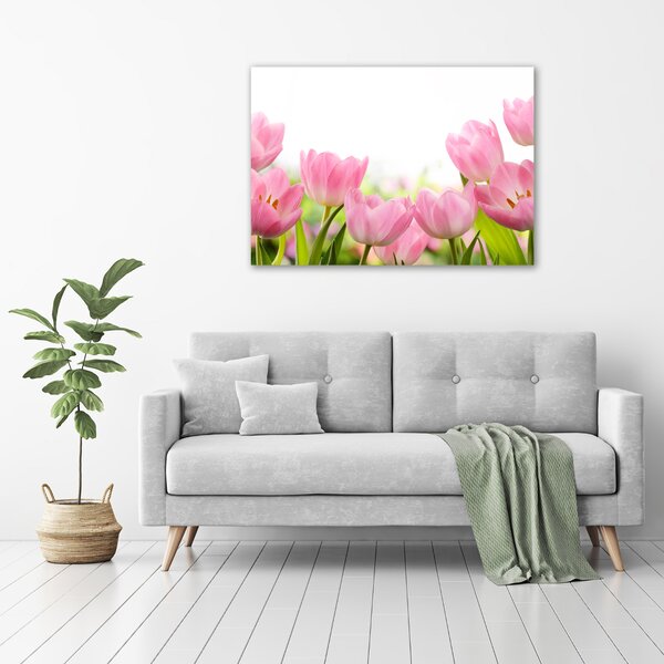 Foto obraz skleněný horizontální Růžové tulipány osh-76412458