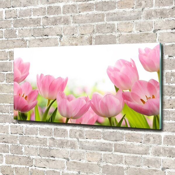 Foto obraz skleněný horizontální Růžové tulipány osh-76412458