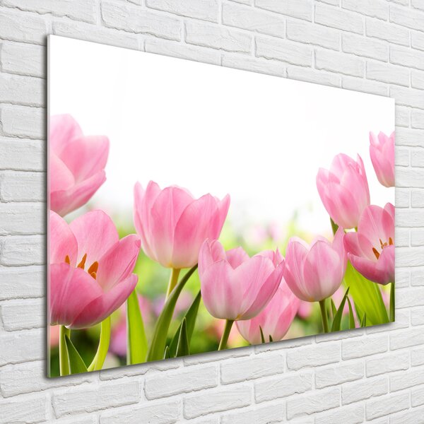 Foto obraz skleněný horizontální Růžové tulipány osh-76412458