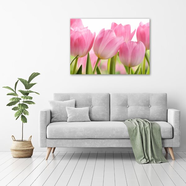 Fotoobraz na skle Růžové tulipány osh-76775867