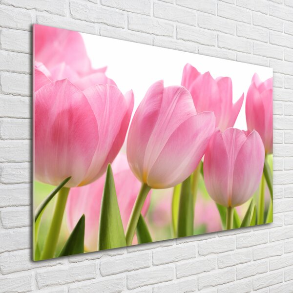 Fotoobraz na skle Růžové tulipány osh-76775867
