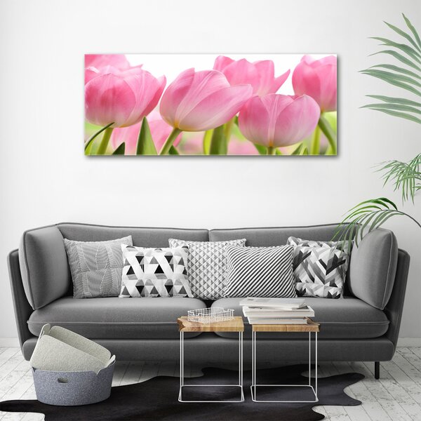 Fotoobraz na skle Růžové tulipány osh-76775867