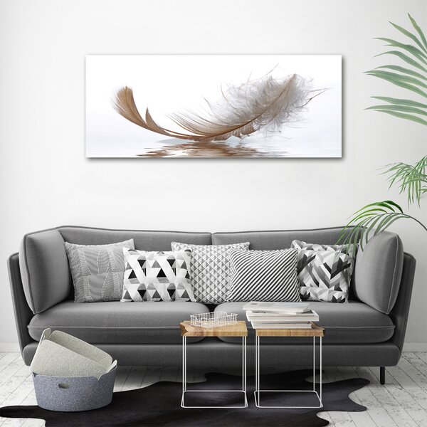 Moderní fotoobraz canvas na rámu Pírka ve vodě oc-77181591