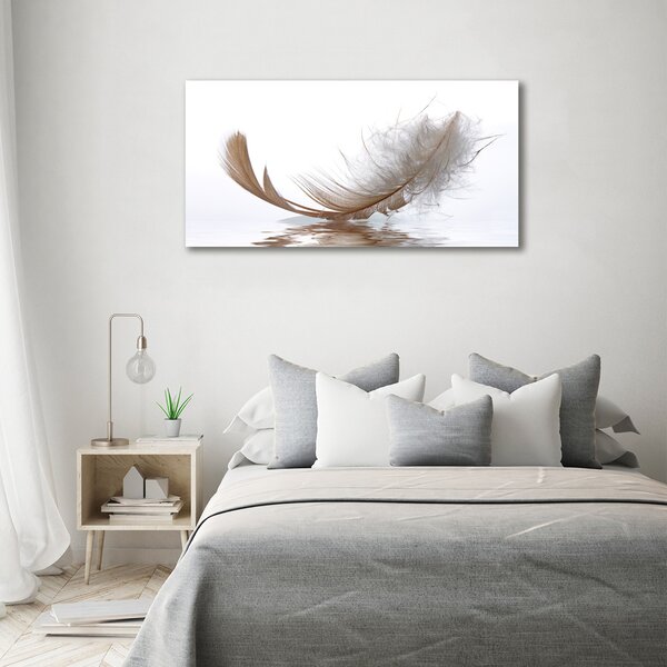 Moderní fotoobraz canvas na rámu Pírka ve vodě oc-77181591