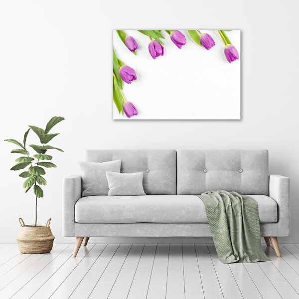 Moderní fotoobraz canvas na rámu Fialové tulipány oc-78573099