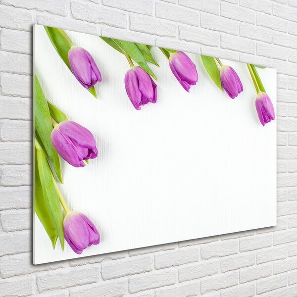 Moderní skleněný obraz z fotografie Fialové tulipány osh-78573099