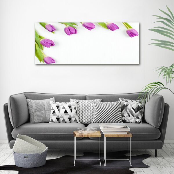 Moderní fotoobraz canvas na rámu Fialové tulipány oc-78573099