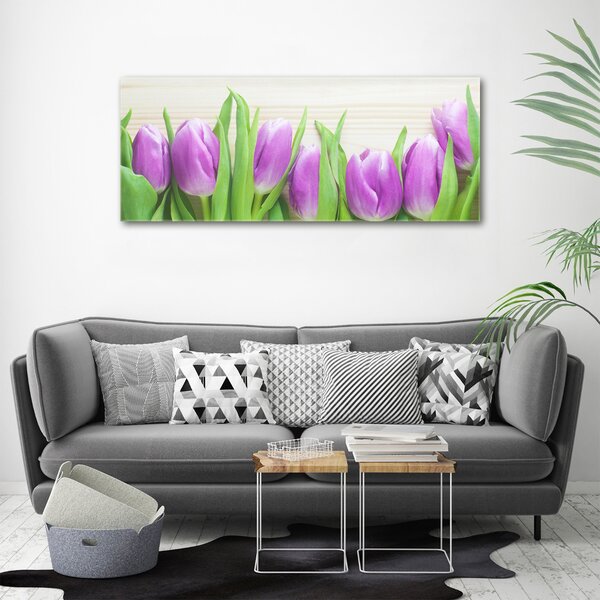 Foto obraz na plátně Fialové tulipány oc-78755149