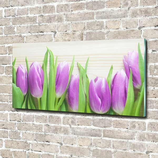 Foto obraz fotografie na skle Fialové tulipány osh-78755149