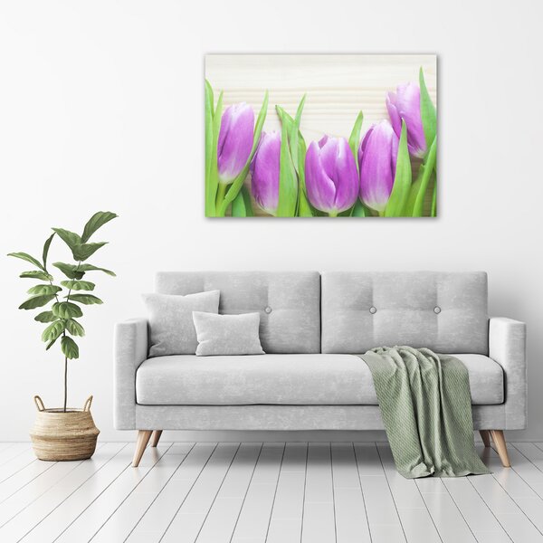 Foto obraz na plátně Fialové tulipány oc-78755149
