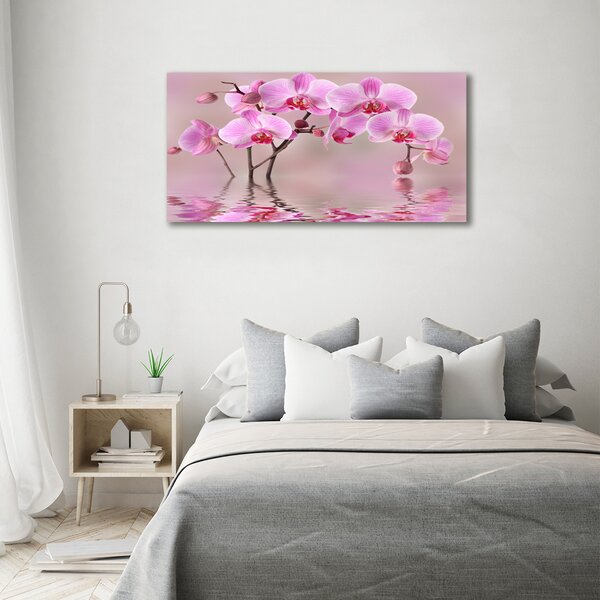 Moderní foto obraz na stěnu Růžová orchidej osh-79883275
