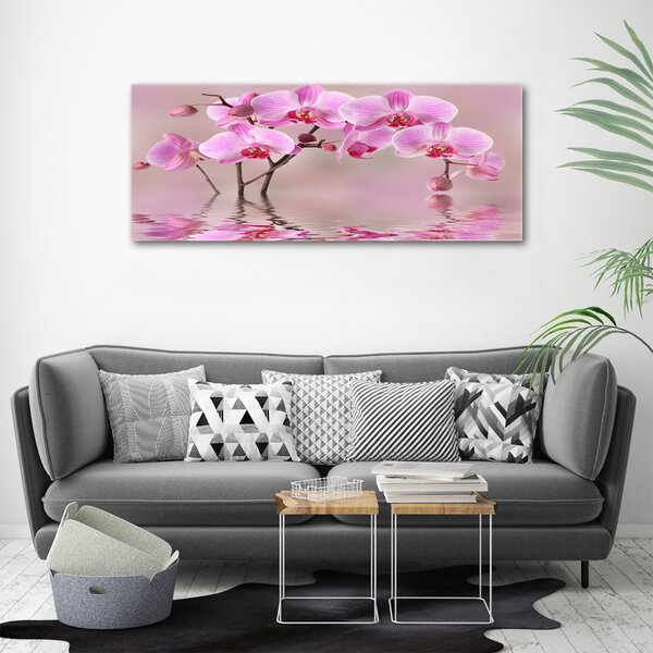 Moderní foto obraz na stěnu Růžová orchidej osh-79883275