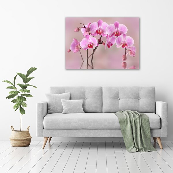 Moderní foto obraz na stěnu Růžová orchidej osh-79883275