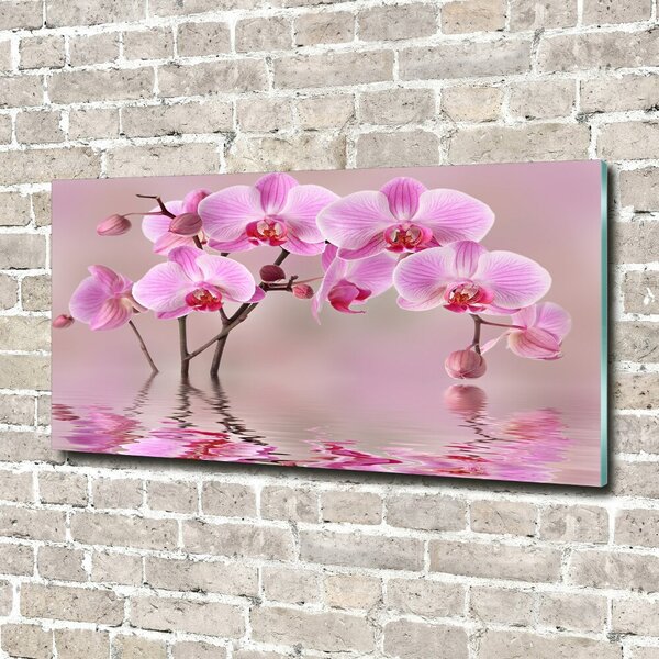 Moderní foto obraz na stěnu Růžová orchidej osh-79883275