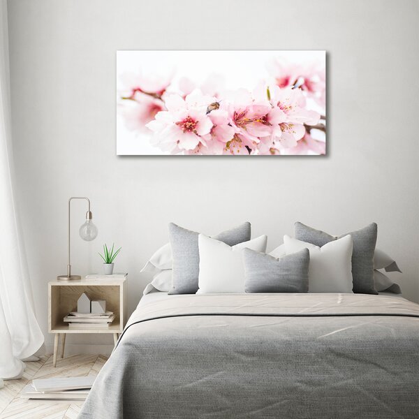 Moderní obraz canvas na rámu Květy višně oc-79943111