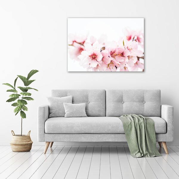 Moderní obraz canvas na rámu Květy višně oc-79943111