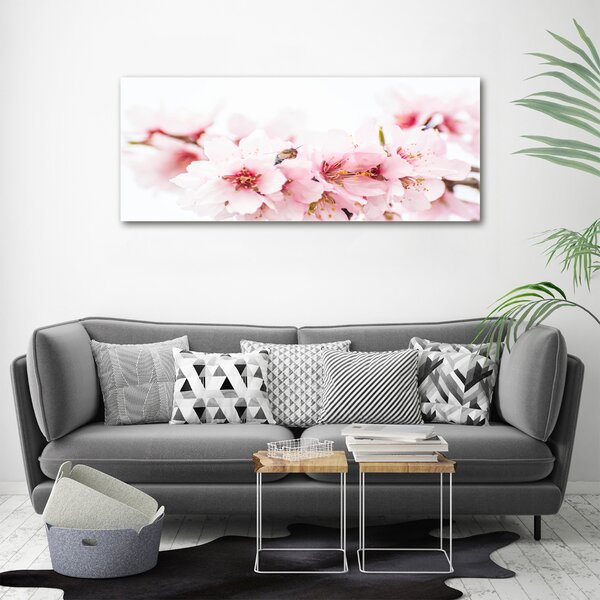 Moderní obraz canvas na rámu Květy višně oc-79943111