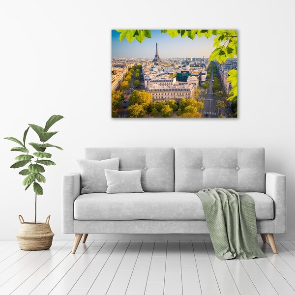 Foto obraz canvas Paříž oc-80291148