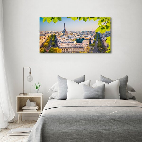 Foto obraz canvas Paříž oc-80291148