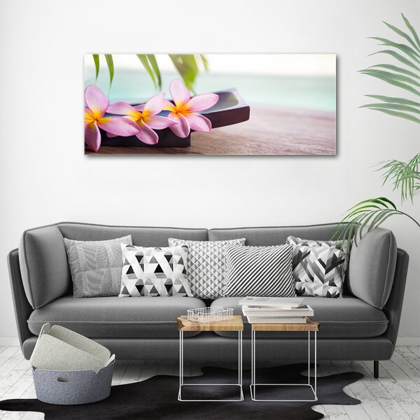 Moderní obraz canvas na rámu Plumérie oc-80655209