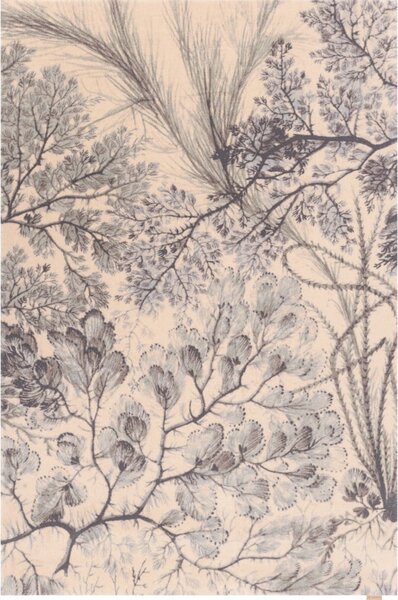 Vlněný koberec v mentolové a béžové barvě 133x190 cm V&A Calisia Kelp – Agnella