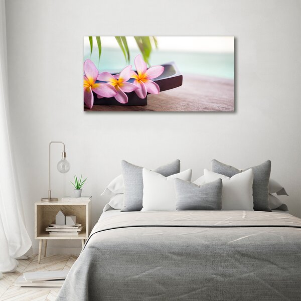 Moderní obraz canvas na rámu Plumérie oc-80655209