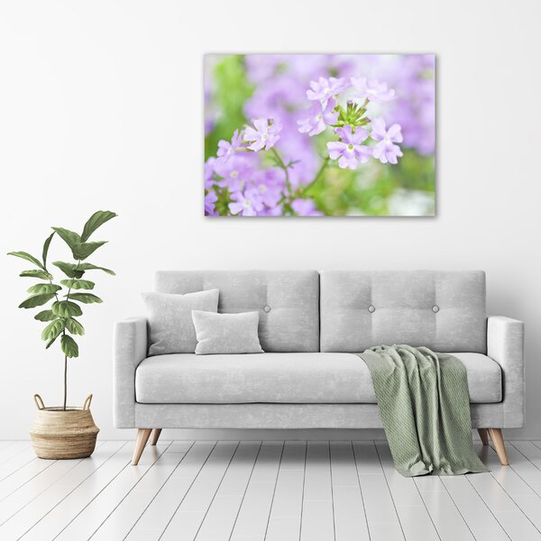 Moderní obraz canvas na rámu Werbena oc-80724437