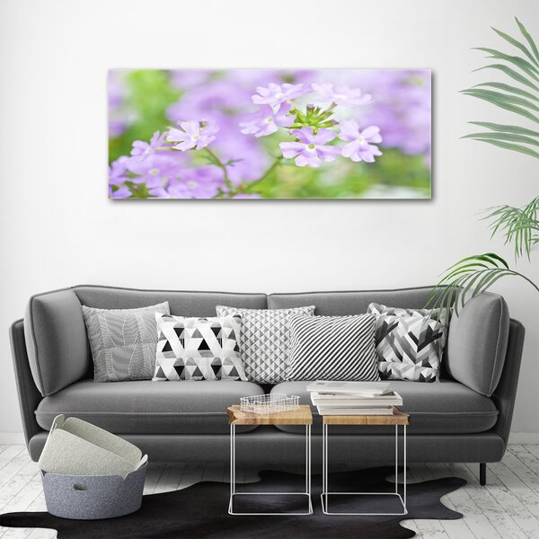 Moderní obraz canvas na rámu Werbena oc-80724437