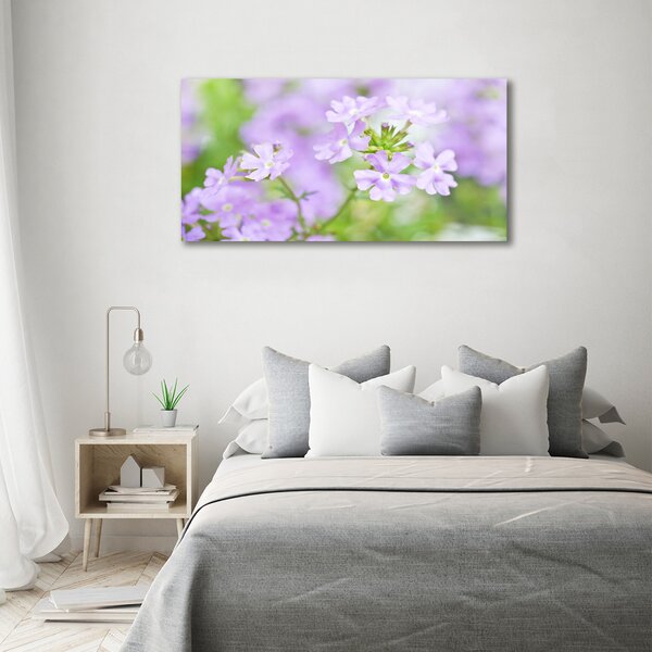 Moderní obraz canvas na rámu Werbena oc-80724437